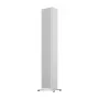 Активная напольная акустика PIEGA Premium 701 Wireless Gen 2 W